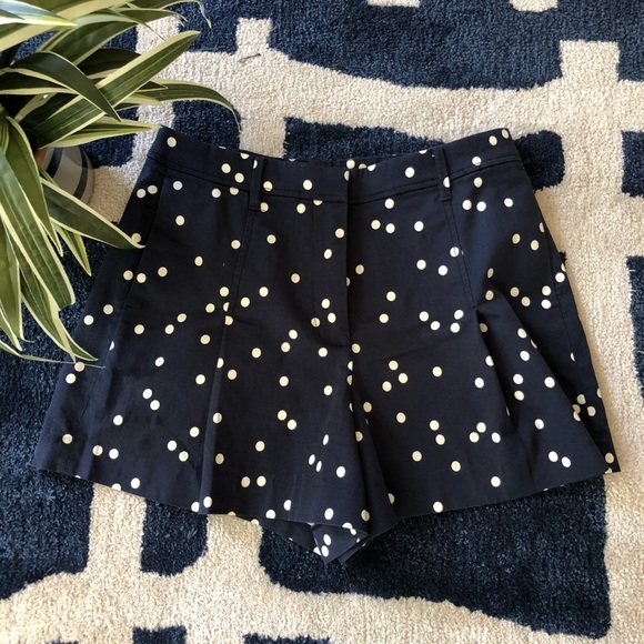 J. Crew Pants - Navy Polka Dot JCrew Shorts